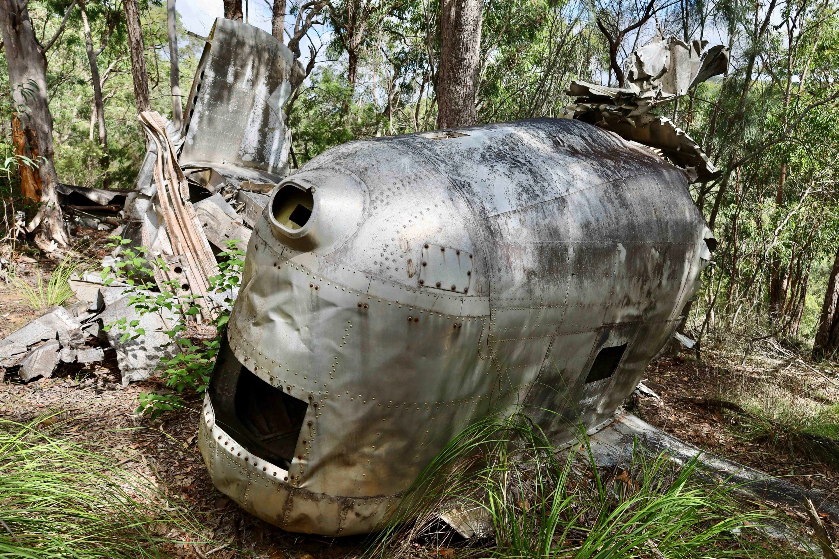Front section of a weathered, riveted metal airplane fuselage wreck tangled in grass and trees in a forest clearing