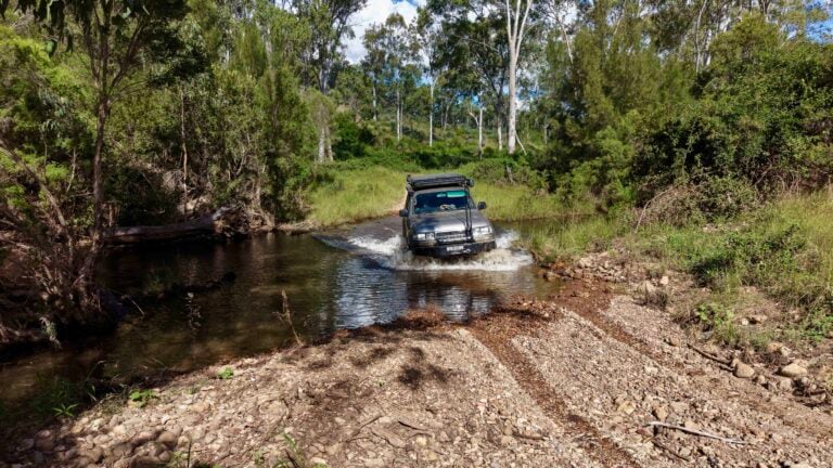 Silver SUV crossing a shallow river in a dense green forest, splashing water as it drives through.