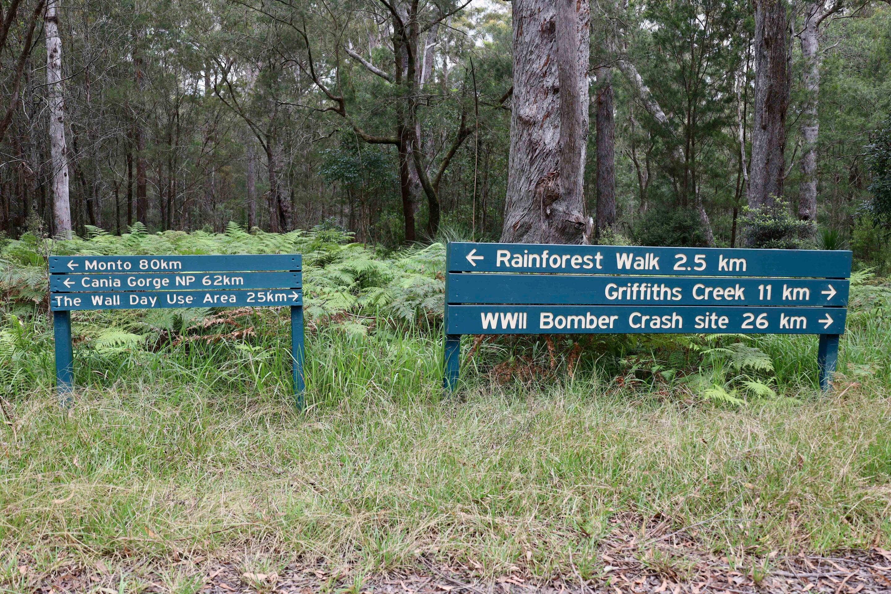 Forest scene with blue signposts pointing to Monto 80 km, Cania Gorge NP 62 km, The Wall Day Use Area 25 km, Rainforest Walk 2.5 km, Griffiths Creek 11 km, and WWII Bomber Crash site 26 km.
