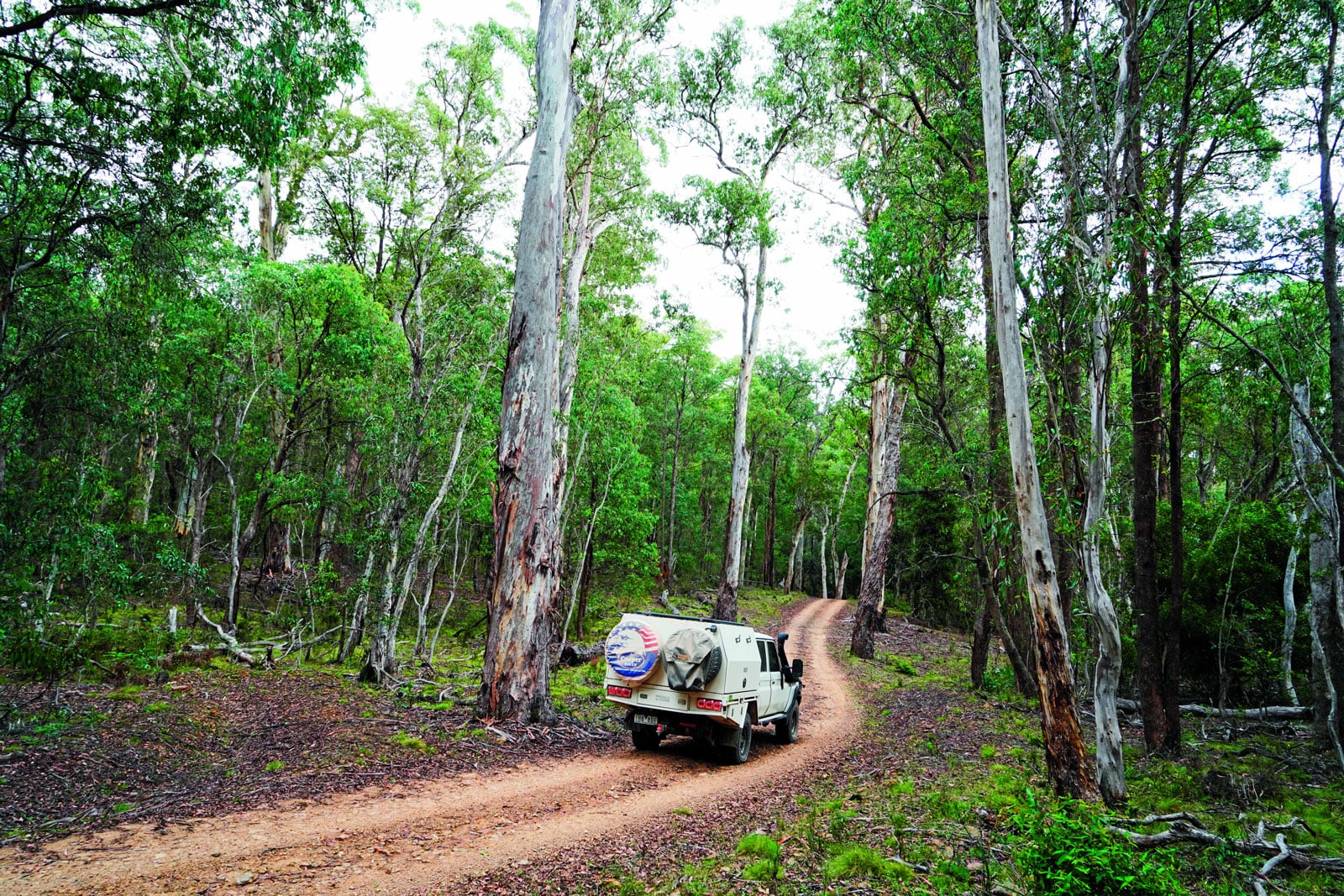White off-road camper van on a winding dirt road through a dense green forest.