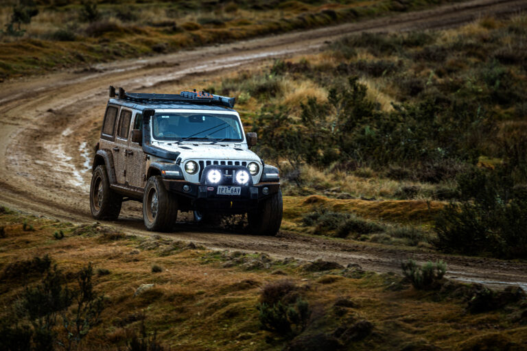 Bushranger Nighthawk Variable Series