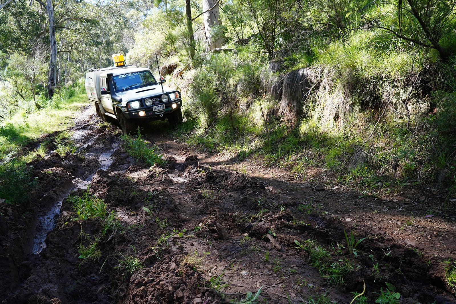 4x4 vehicle navigating a muddy forest track surrounded by trees and green undergrowth