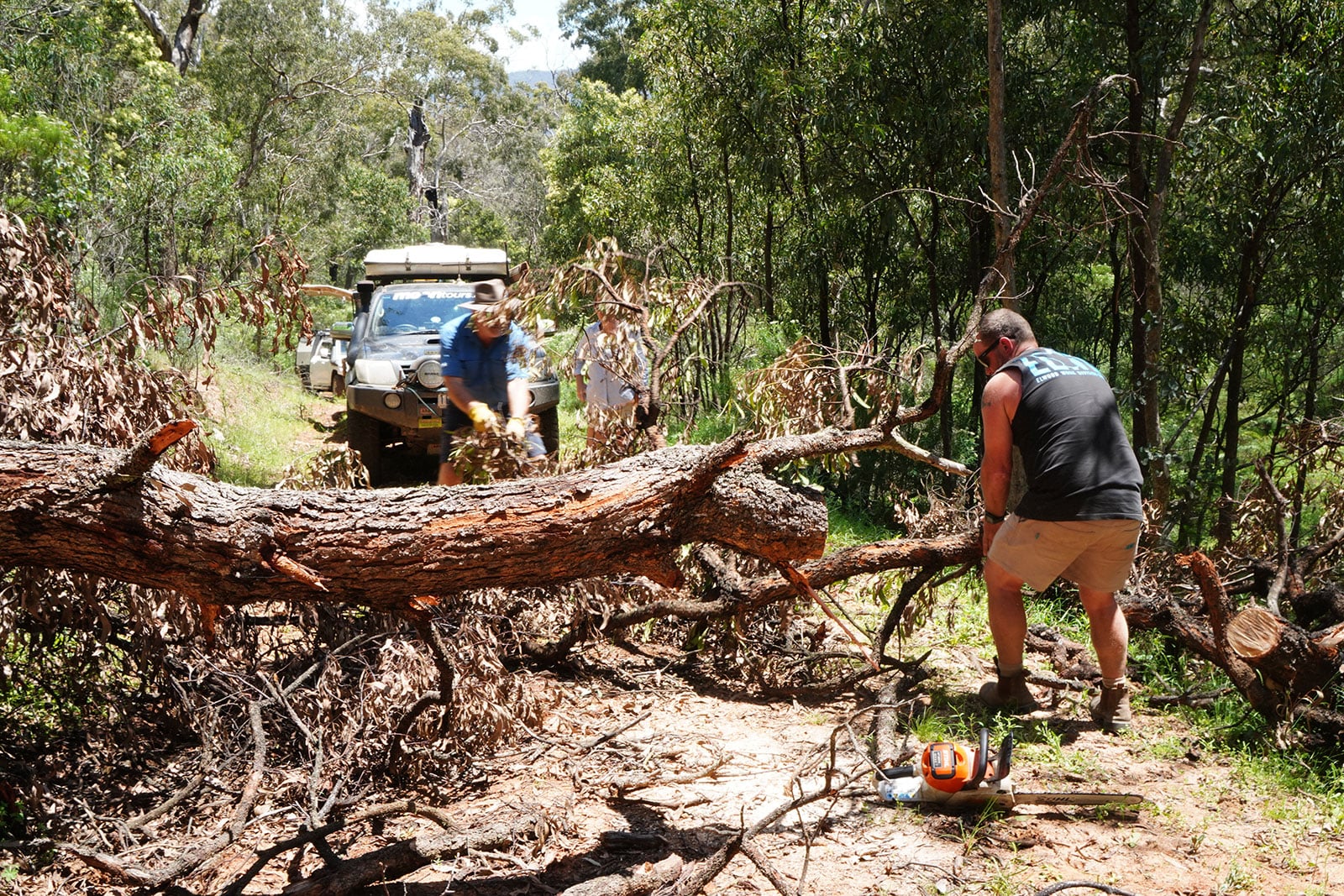 Three people work to move and cut a large fallen tree blocking a dirt road in a forest, with an off-road SUV in the background.