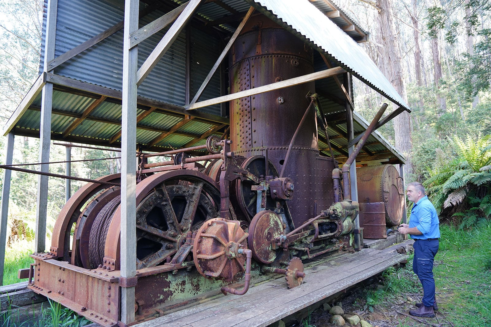 Rusty vintage steam locomotive under a corrugated metal shed, with a man in a blue shirt standing beside it in a forested area.