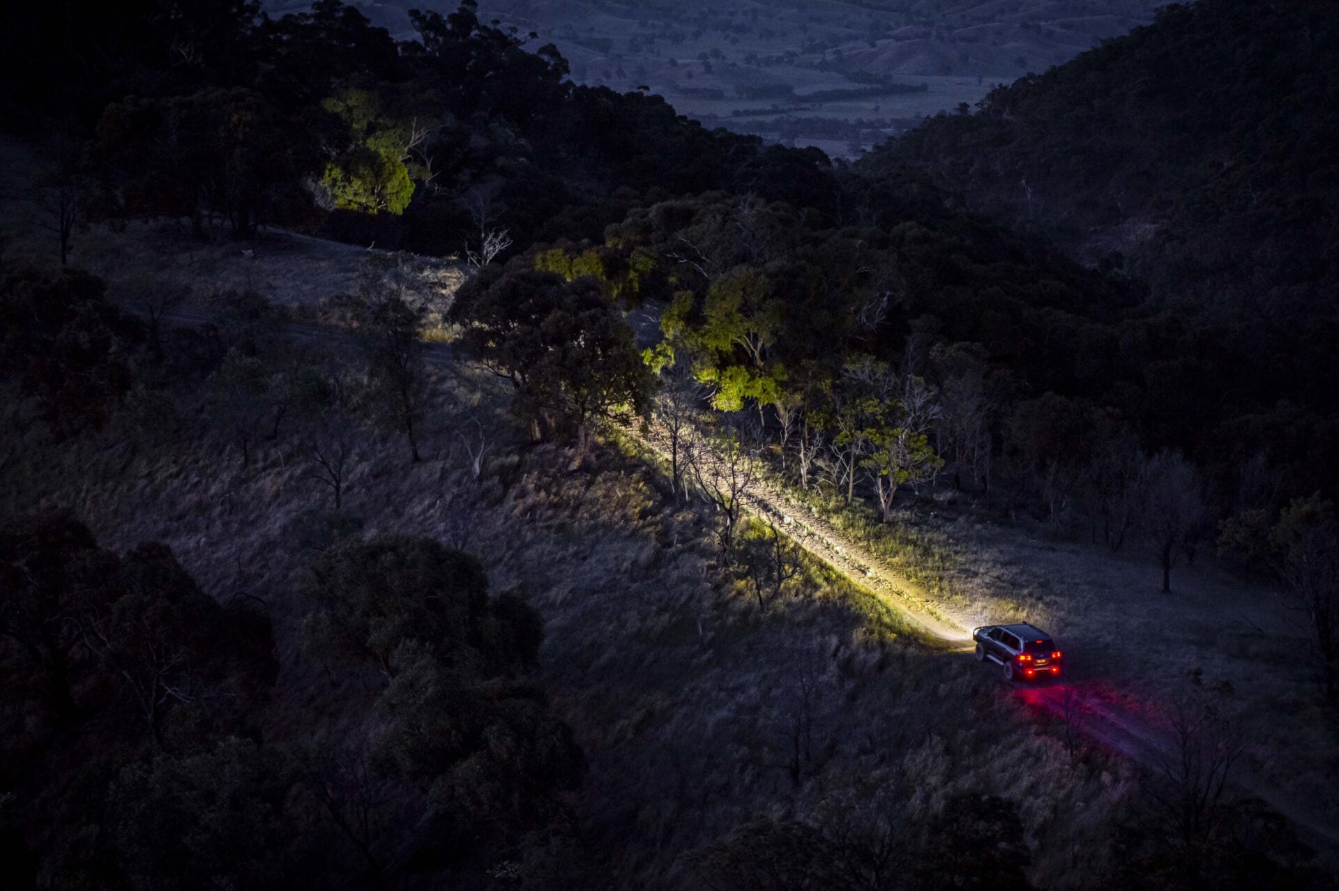 Dusk Example Dusk remains the most dangerous time for wildlife collisions – here’s ...