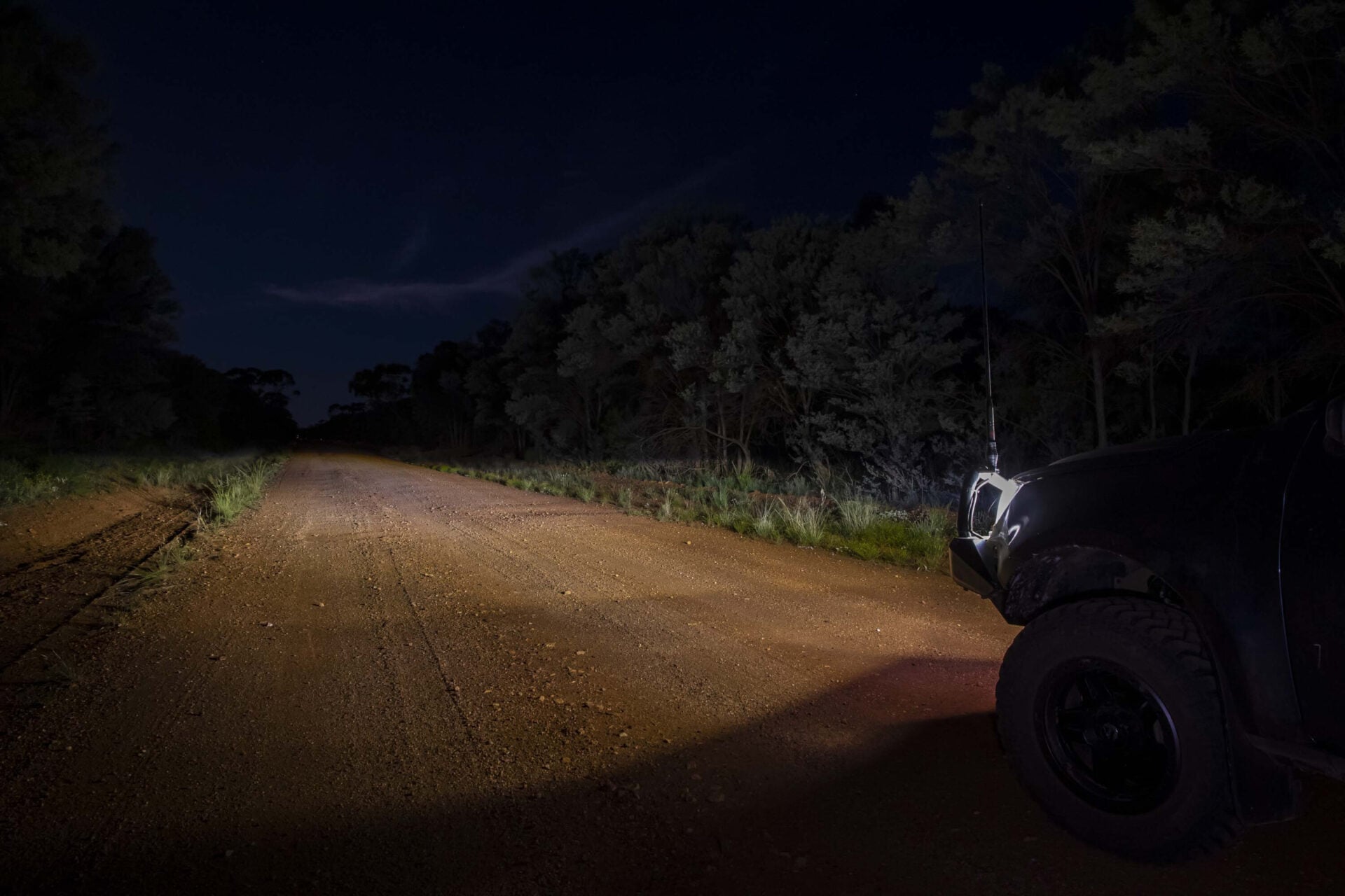4x4 at night: How to avoid wildlife and stay safe on outback roads