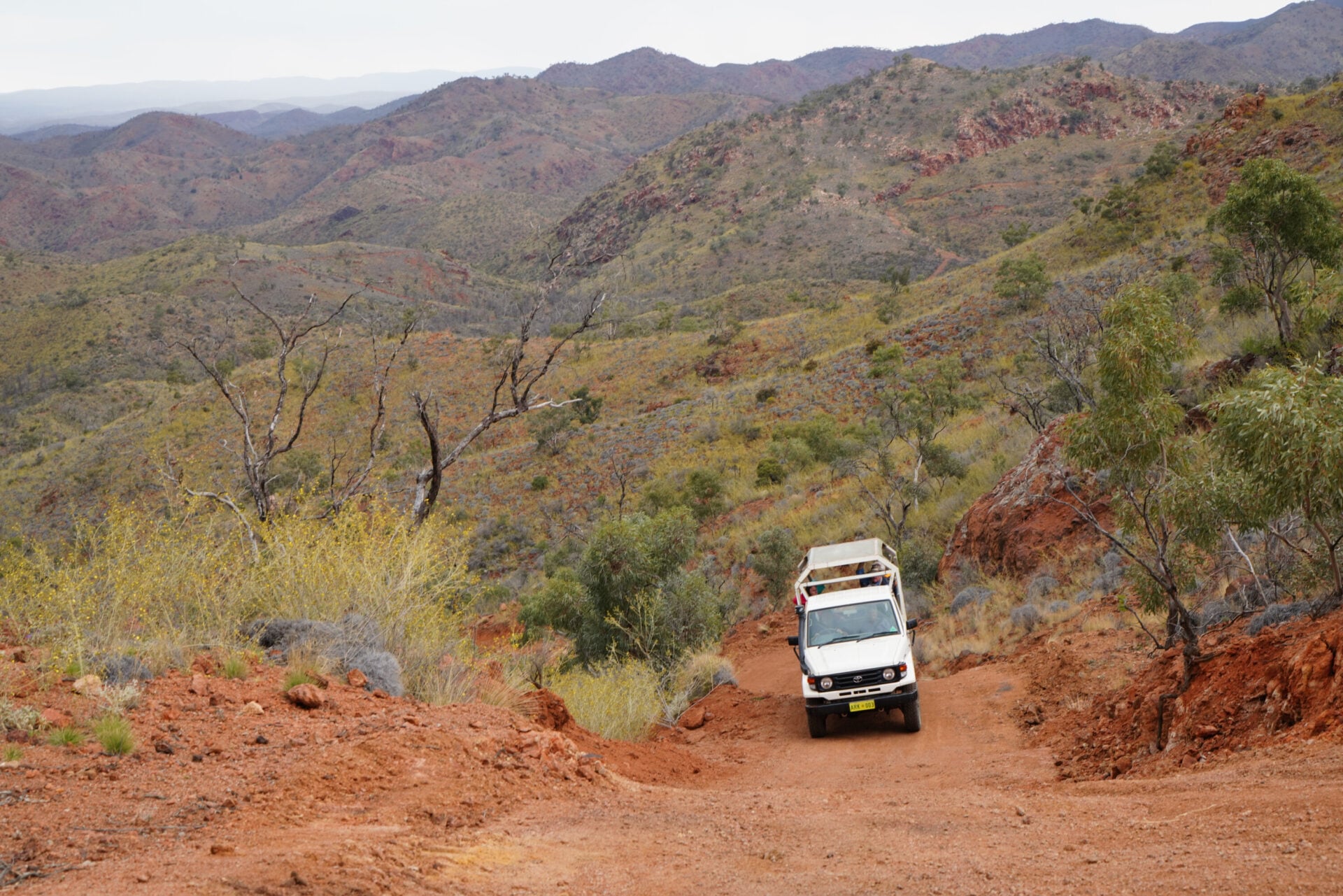 Journey to the heart of the Flinders Ranges