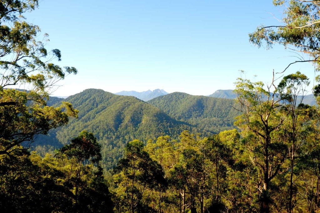 4x4 trip to the Richmond Range NSW toonumbar national park