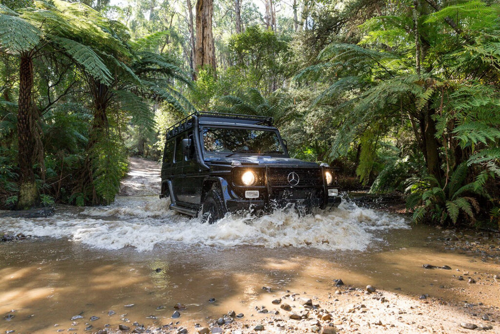 mercedes benz g300 cdi