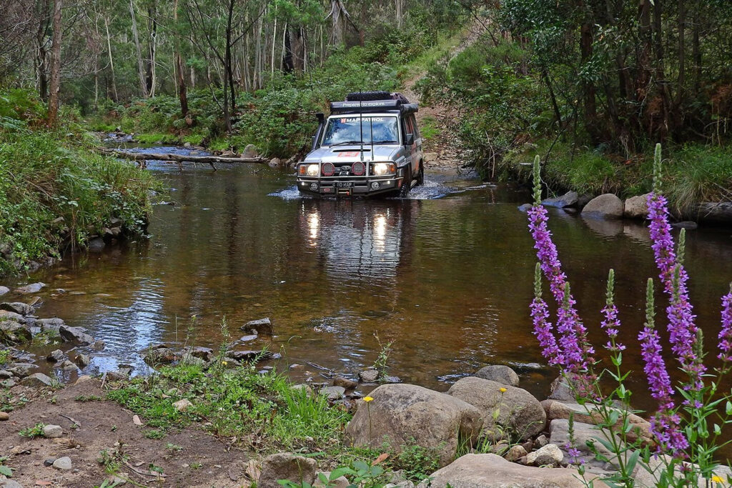 Ingeegoodbee Track, Victoria main