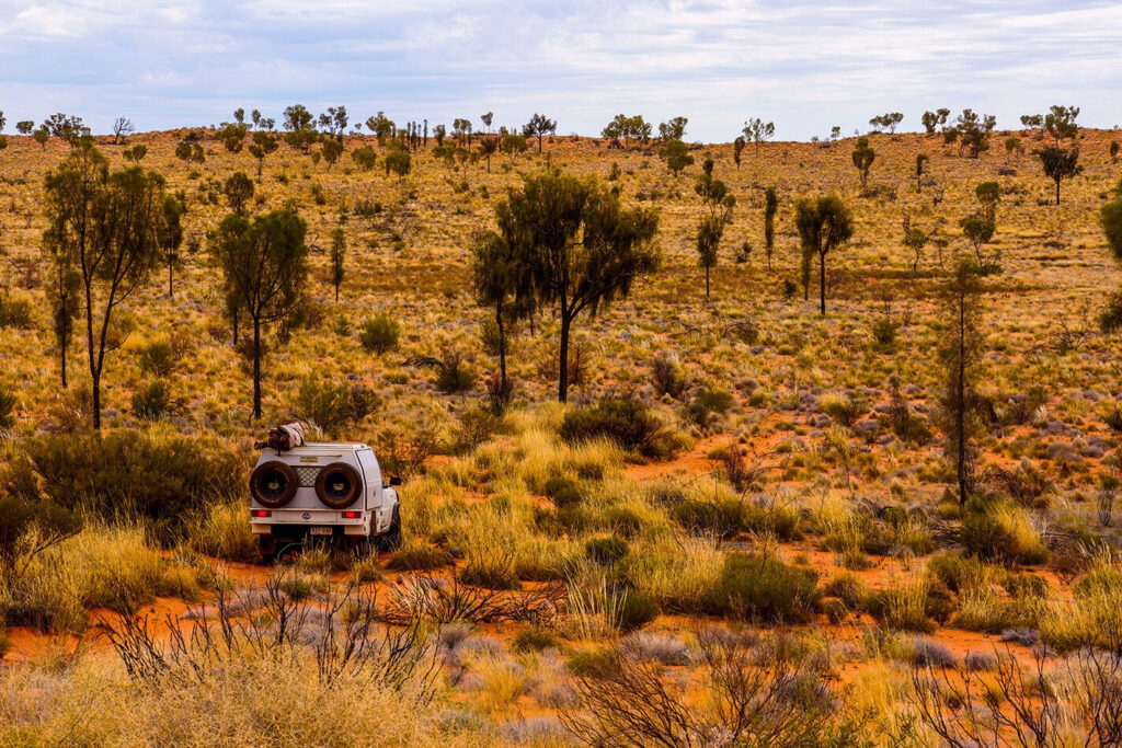 The Mysterous Cleland Hills, NT