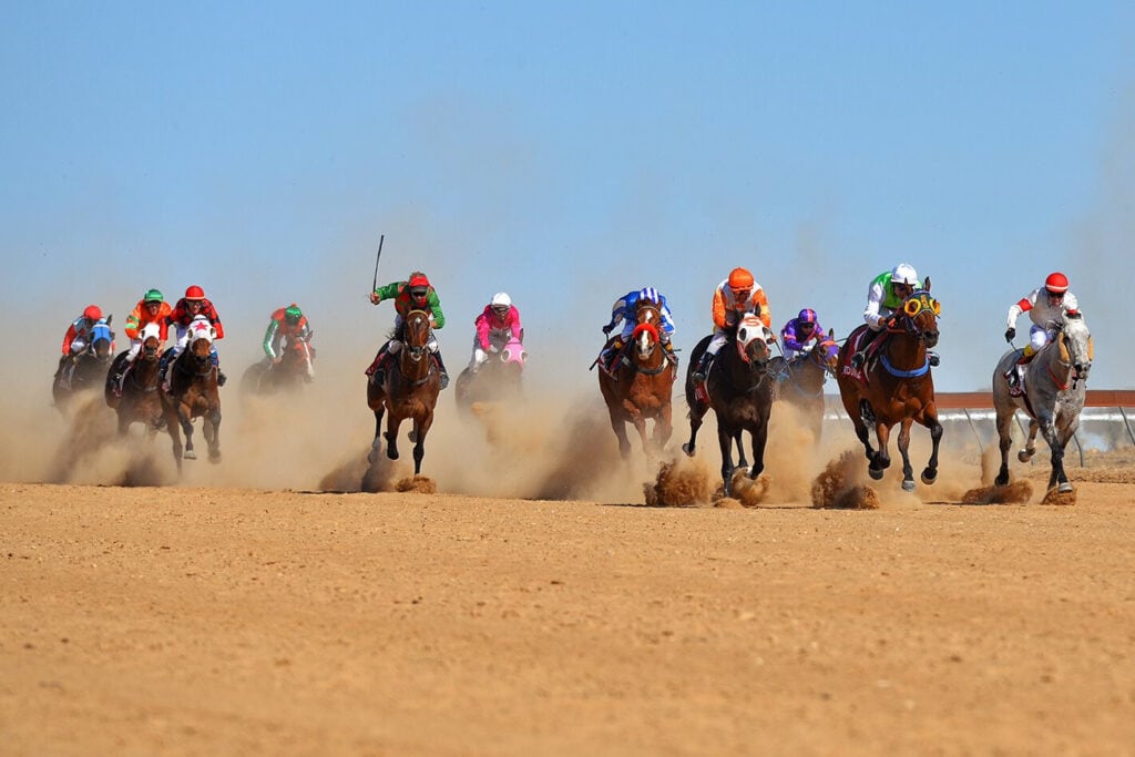 2017 Birdsville Races