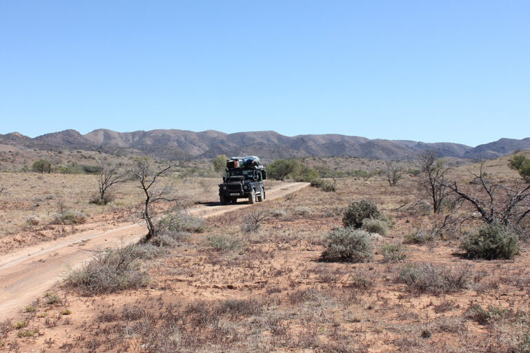 Flinders and Gammon Ranges, SA