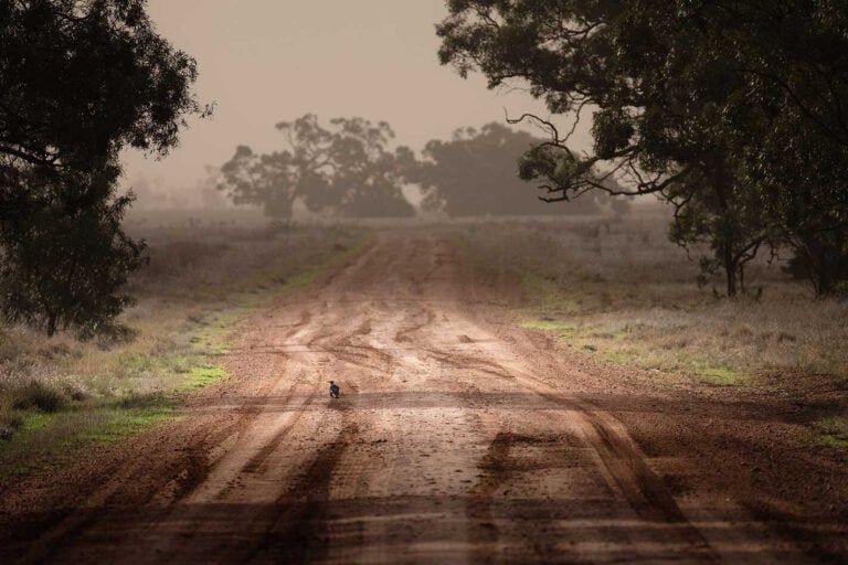 The Mallee region Victoria