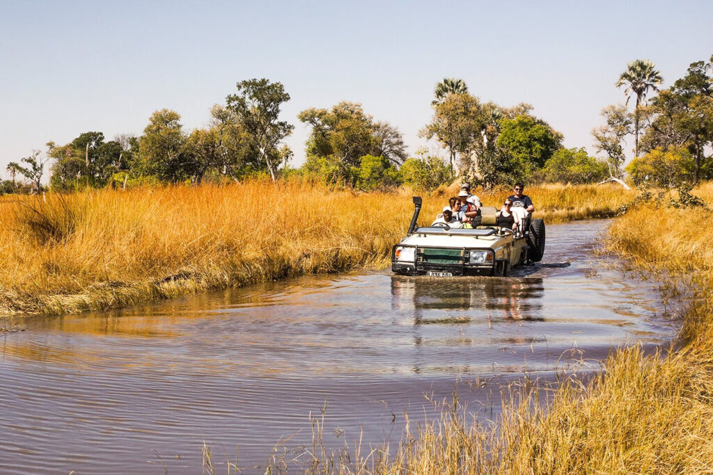 African Adventure