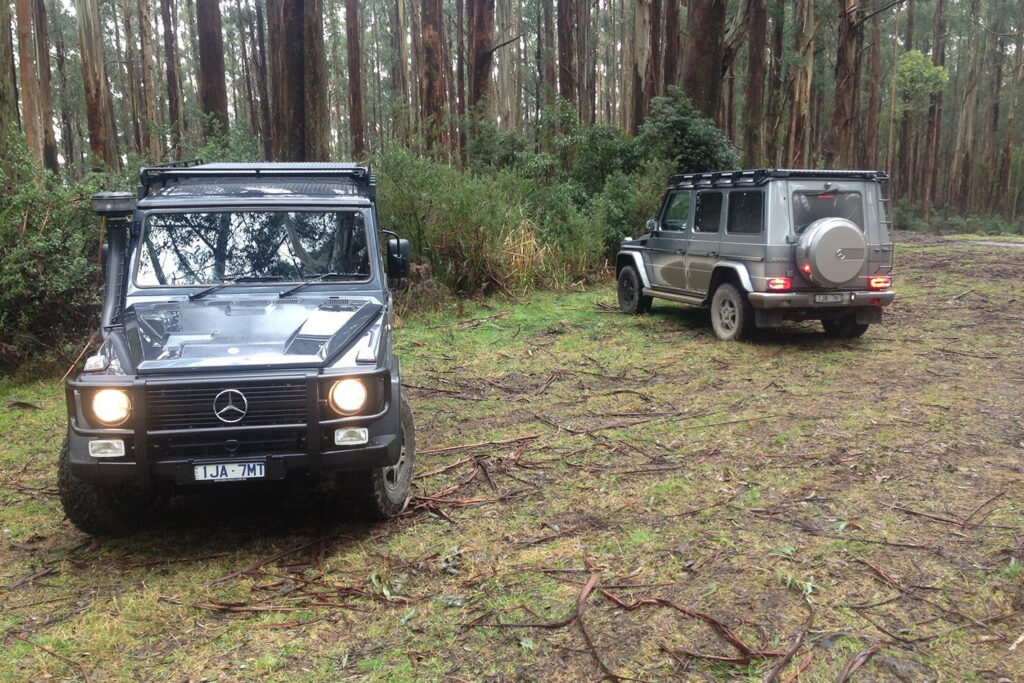 2017 Mercedes Benz G300 Professional