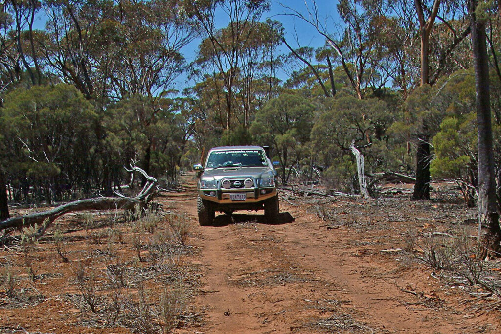 Stranded in the bush: Lessons to be learned