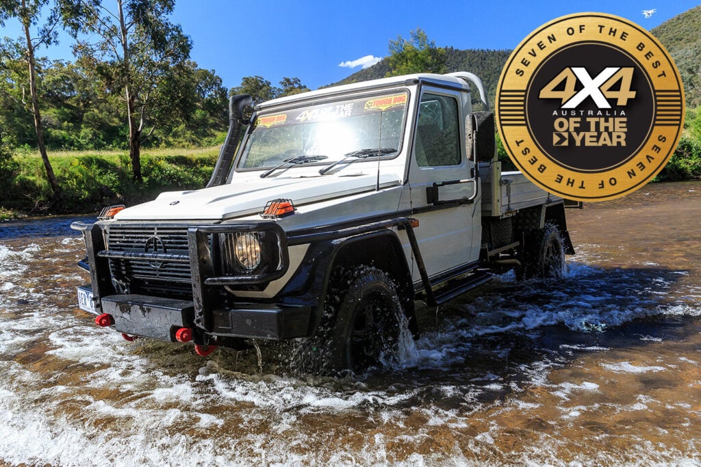 Mercedes-Benz G-Professional G300 Cab Chassis