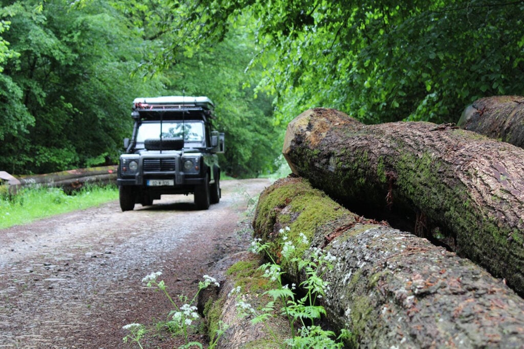 Greenlaing woods France