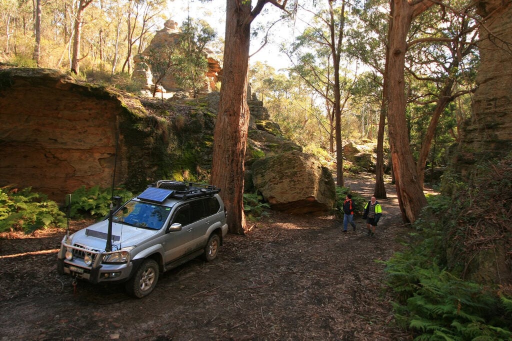 Lithgows northern forests NSW