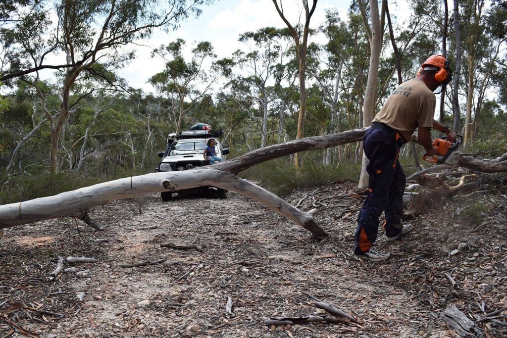 How to use a chainsaw correctly