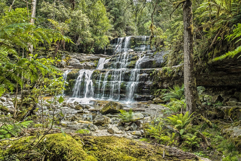 Liffey Falls, Tasmania