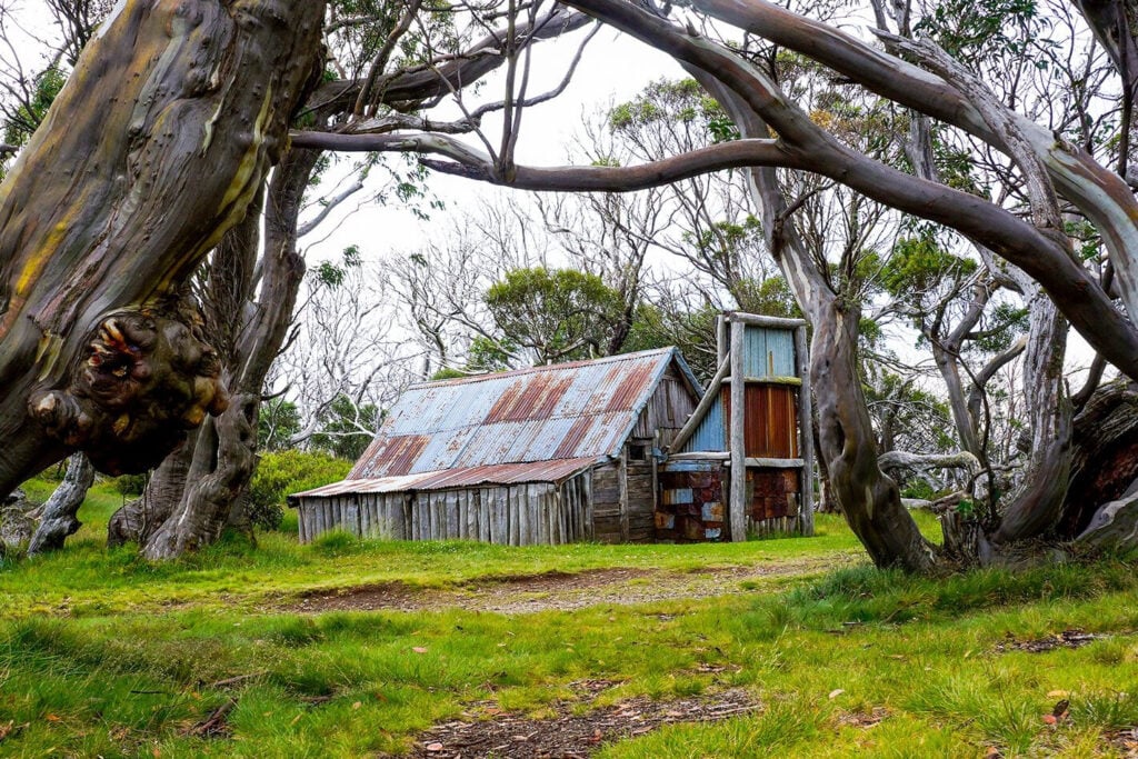 WallacesWallaces Hut Bogoing