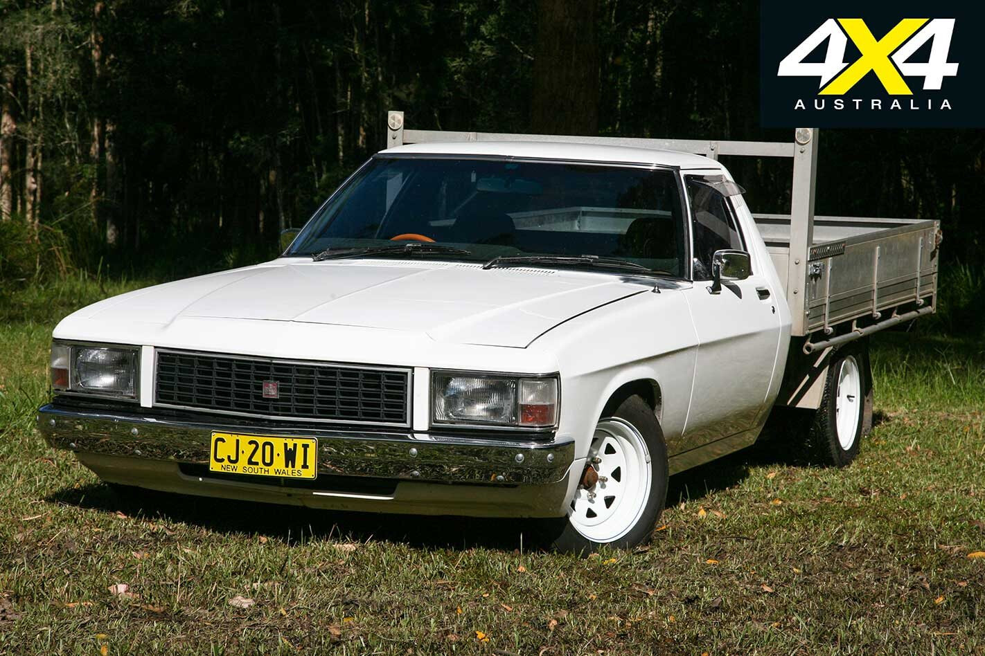 Holden 1 Tonner Build Part 1