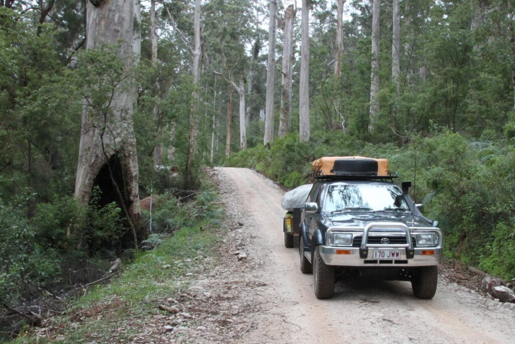 Toyota in Warren National Park, WA