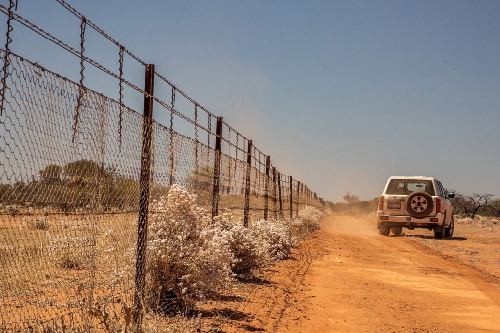 rabbit proof fence