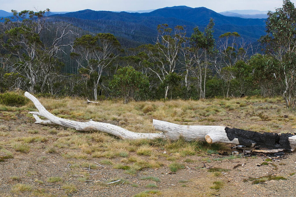 Increasing national parks is not the answer