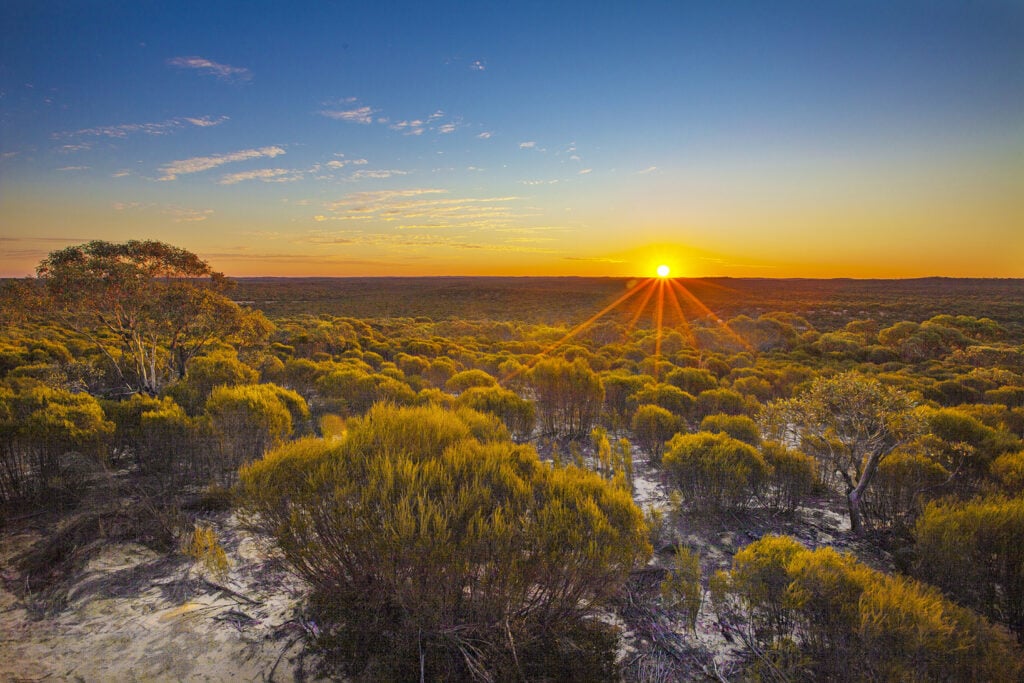 The Mallee Victoria