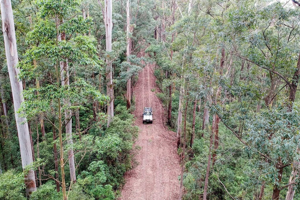 Coorabakh National Park NSW