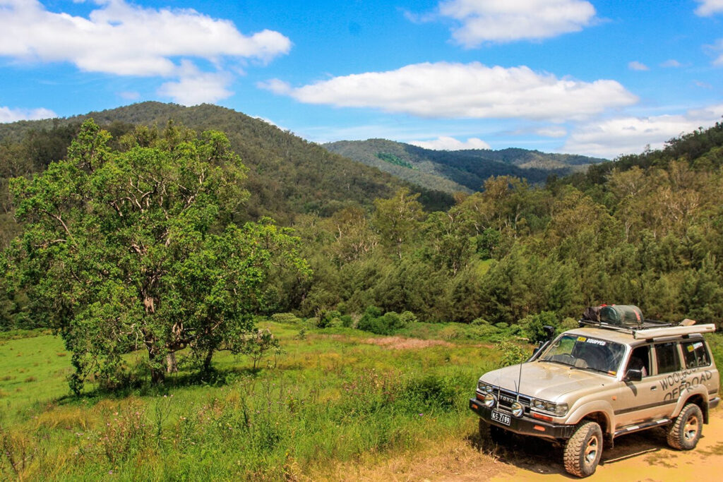 Chaelundi National Park, NSW main