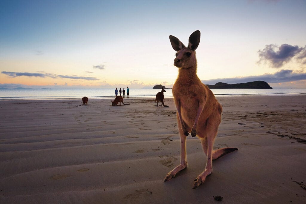 Mackay Region, Queensland’s tropical coast