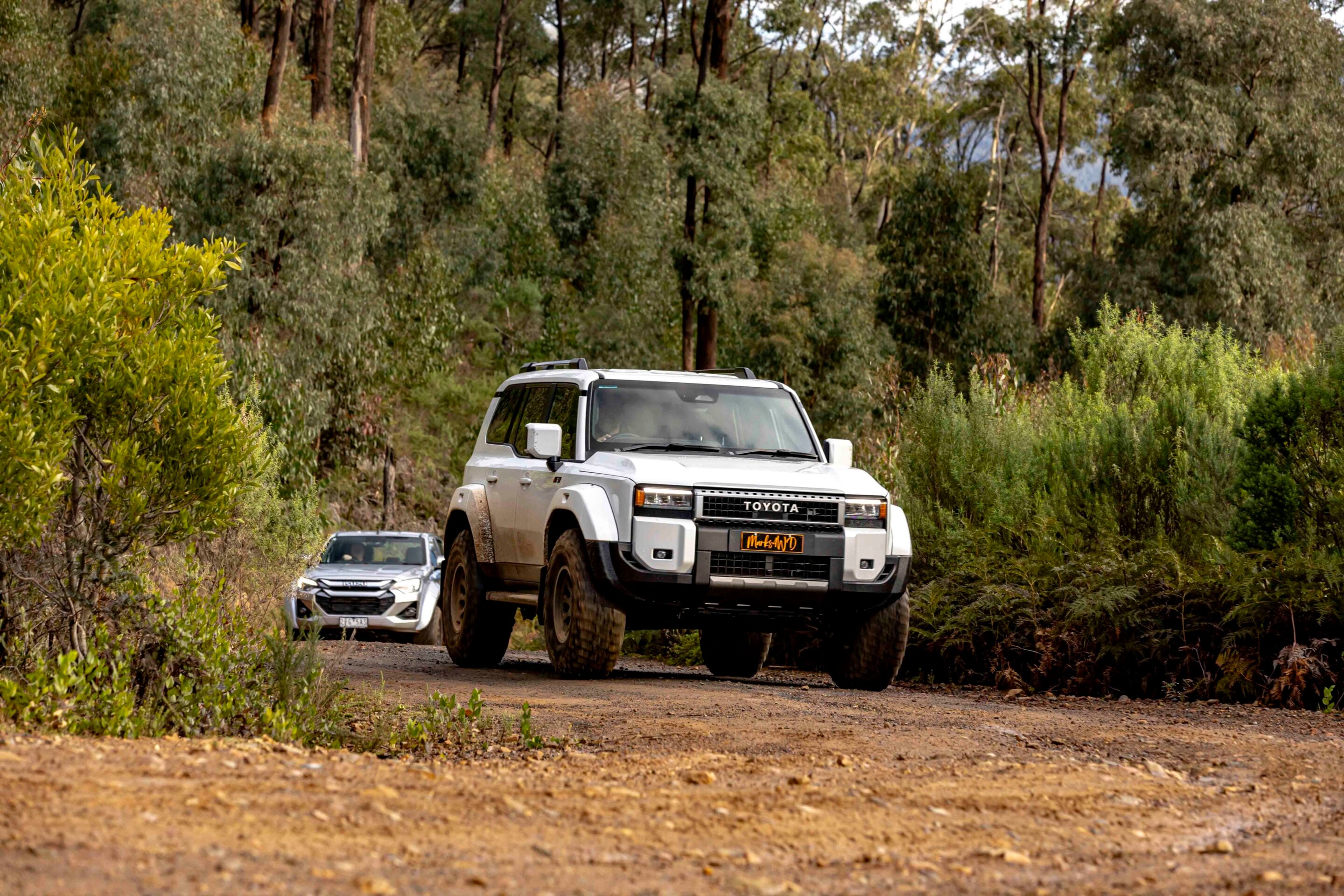 White Toyota SUV driving on a dirt road through a dense forest, with another car visible behind it.