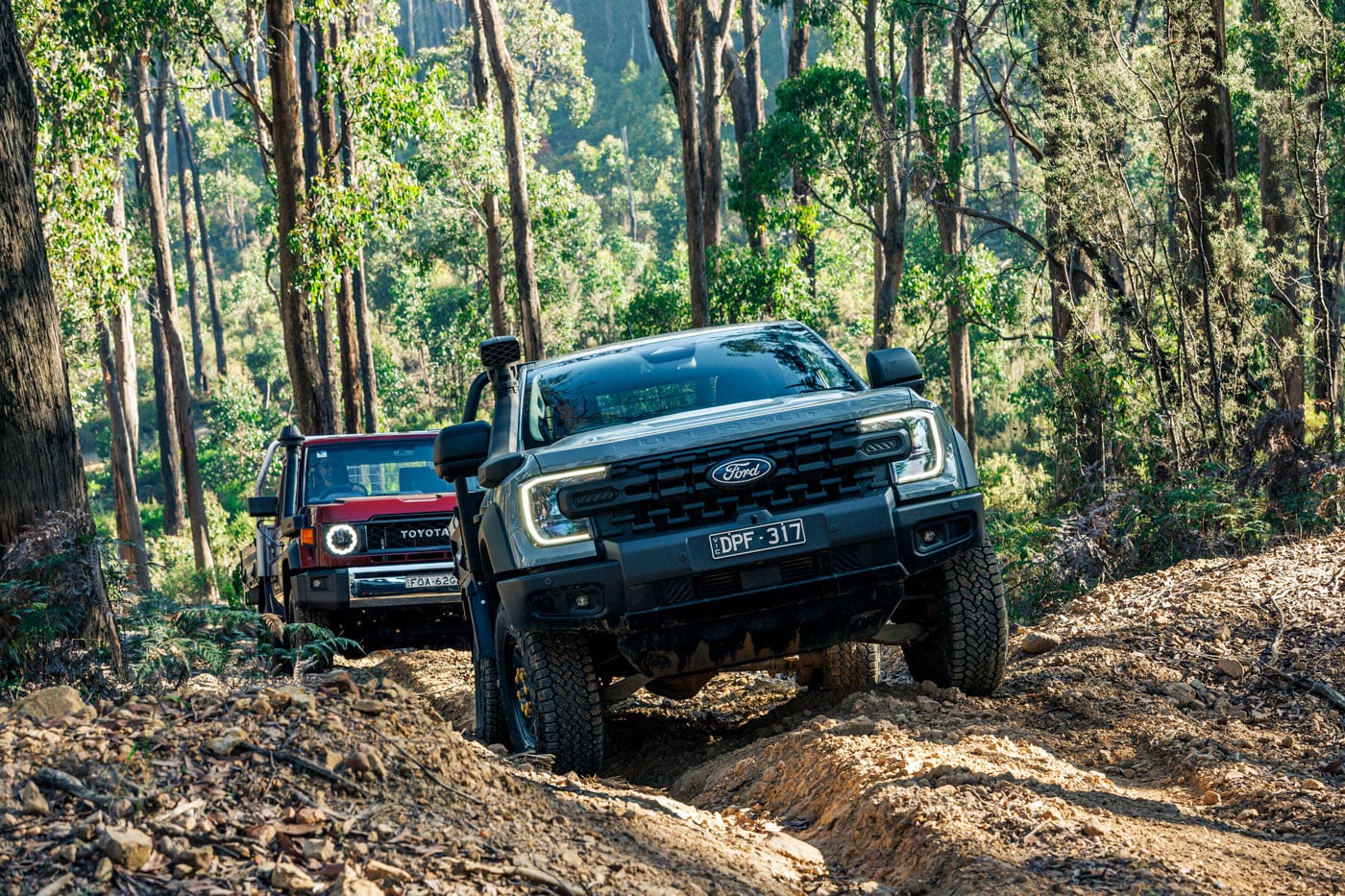 Two off-road pickup trucks traverse a rocky forest trail; leading gray Ford F-150 Raptor with lifted tires, followed by a red Toyota.