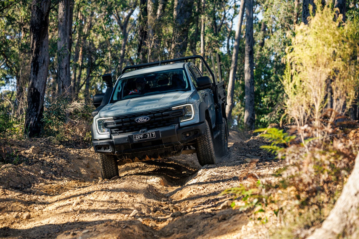 Gray Ford pickup navigating a rugged dirt trail through a forest, dust rising from the tires.