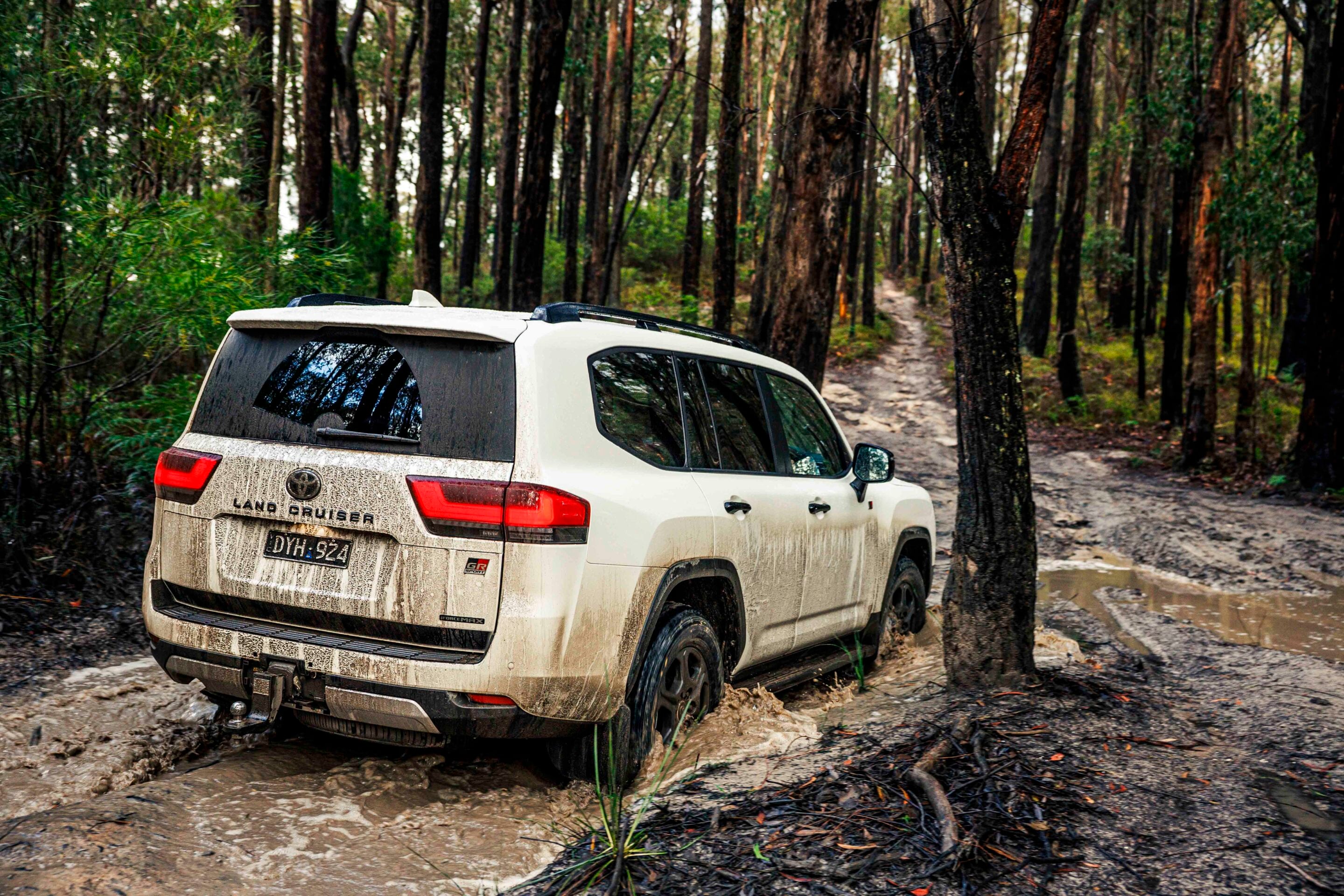 White Toyota Land Cruiser parked on a muddy forest trail surrounded by tall trees