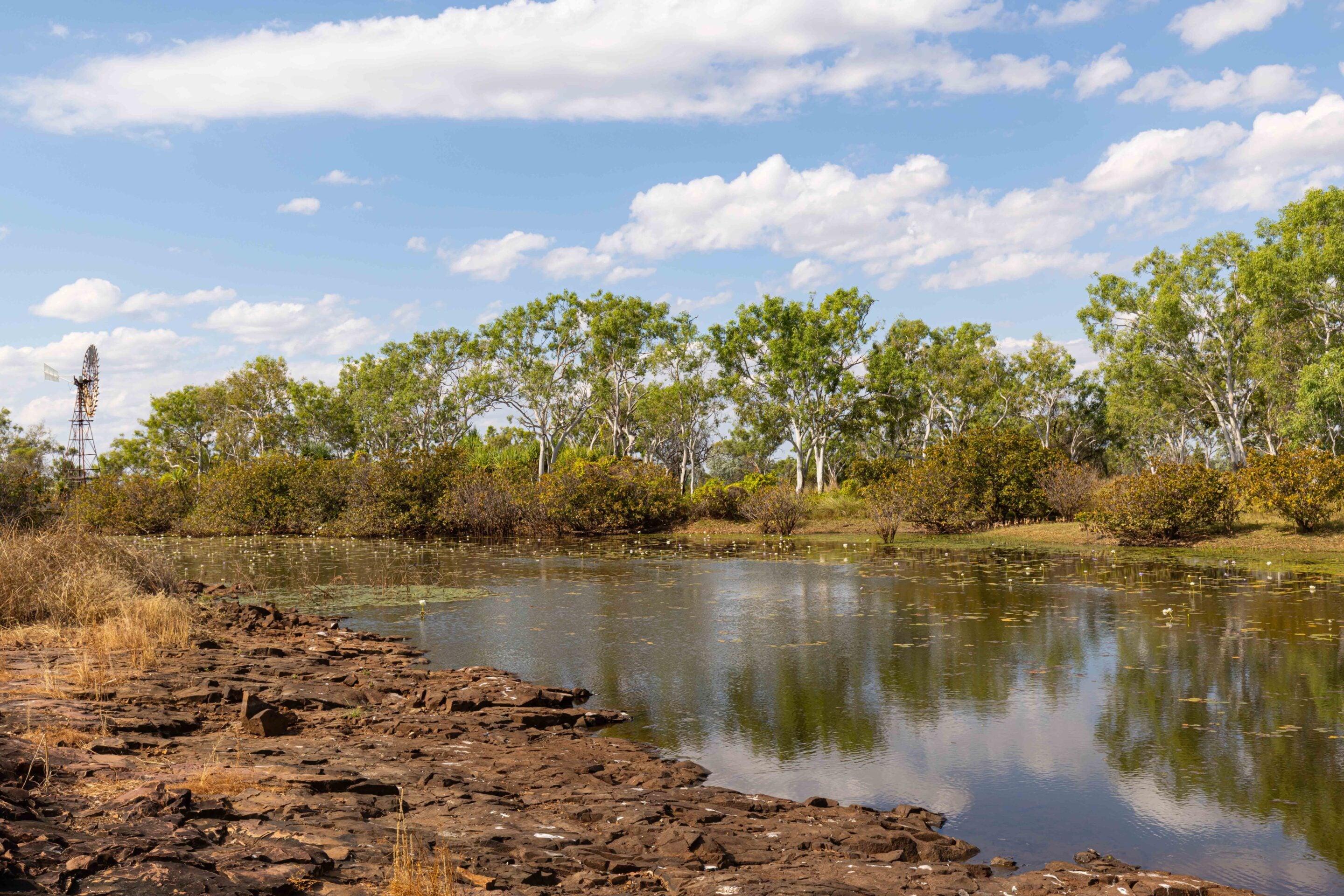 Rocky lakeshore with calm water, a windmill on the left, and a line of trees under a blue sky with scattered clouds.