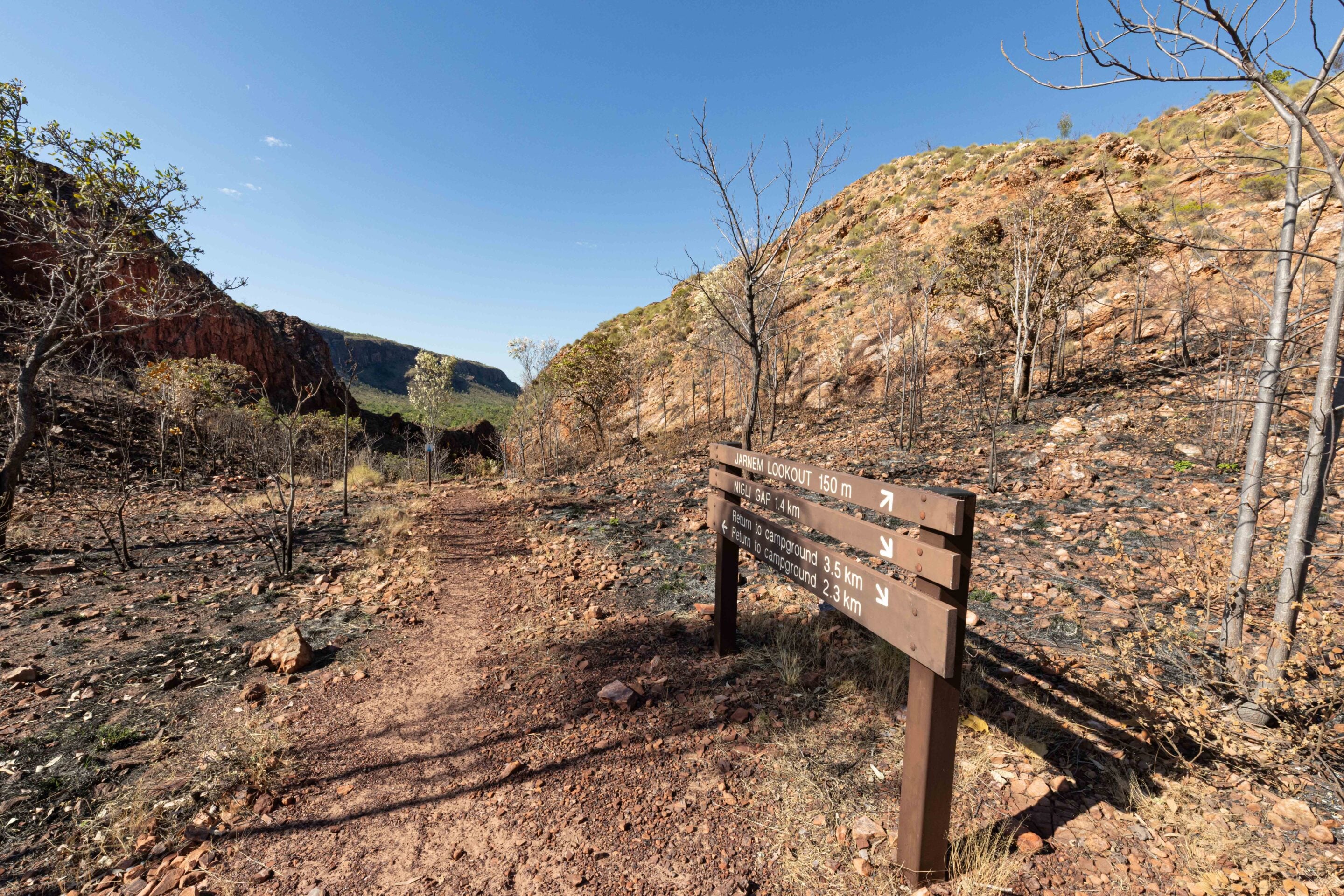 Wooden trail signpost in a rocky desert landscape, pointing toward lookouts and campsites with dry scrub and leafless trees under a clear blue sky.