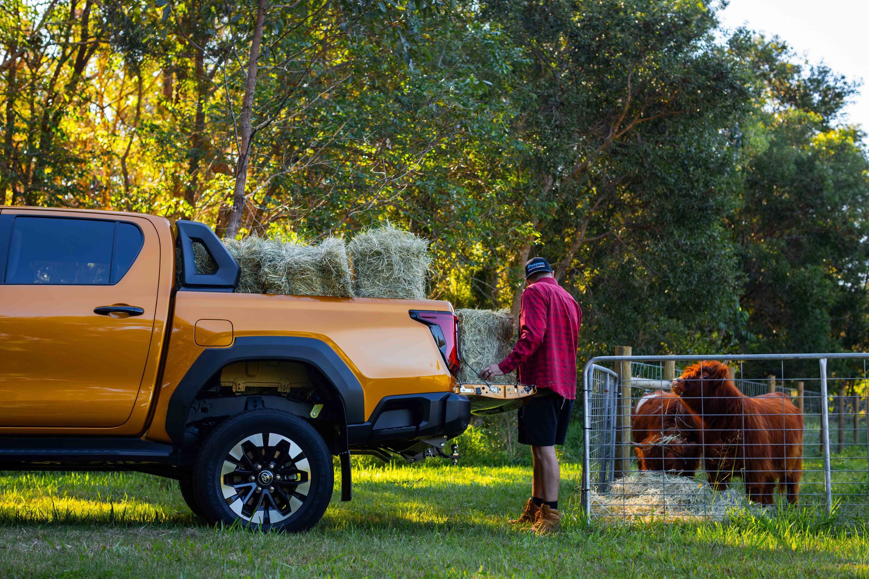 Yellow pickup with hay bales in the bed, a man in a red plaid shirt near the tailgate, and a dog behind a metal fence in a rural yard.